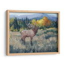 Montaña Rocosa Elk Ii - Tim OToole | Cuadro decorativo de Canvas Lab