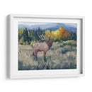 Montaña Rocosa Elk Ii - Tim OToole | Cuadro decorativo de Canvas Lab