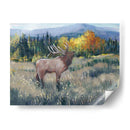 Montaña Rocosa Elk Ii - Tim OToole | Cuadro decorativo de Canvas Lab