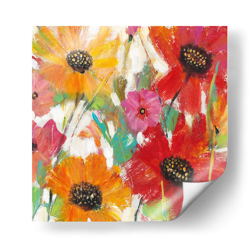 Floral Brillante Y Audaz I - Tim OToole | Cuadro decorativo de Canvas Lab