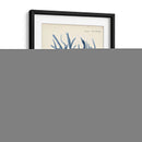 Coral Antiguo En La Marina V - Johann Esper | Cuadro decorativo de Canvas Lab