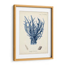 Coral Antiguo En La Marina V - Johann Esper | Cuadro decorativo de Canvas Lab