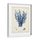 Coral Antiguo En La Marina V - Johann Esper | Cuadro decorativo de Canvas Lab