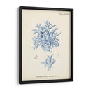 Coral Antiguo En Navy Vi - Johann Esper | Cuadro decorativo de Canvas Lab