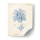 Coral Antiguo En Navy Vi - Johann Esper | Cuadro decorativo de Canvas Lab