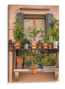 Flores De Ventana Italiana Iii - Laura DeNardo | Cuadro decorativo de Canvas Lab