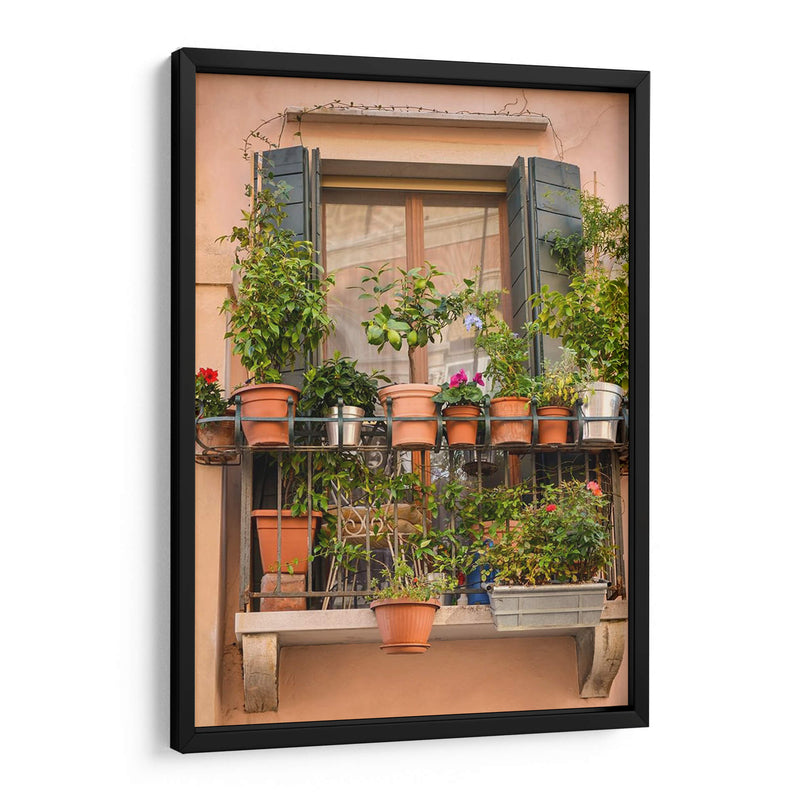 Flores De Ventana Italiana Iii - Laura DeNardo | Cuadro decorativo de Canvas Lab
