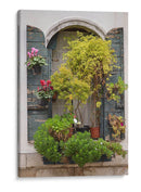 Flores Italianas Flores Iv - Laura DeNardo | Cuadro decorativo de Canvas Lab