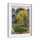 Flores Italianas Flores Iv - Laura DeNardo | Cuadro decorativo de Canvas Lab