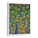 Lavius ​​Peacock I - Carolee Vitaletti | Cuadro decorativo de Canvas Lab