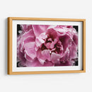 Peonía Rosa Pasión Iii - Irena Orlov | Cuadro decorativo de Canvas Lab