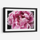 Pasión Pink Passion Iv - Irena Orlov | Cuadro decorativo de Canvas Lab