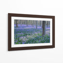 Sueños De Bluebell I - Glovanni Baptiste | Cuadro decorativo de Canvas Lab