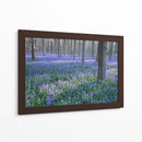 Sueños De Bluebell I - Glovanni Baptiste | Cuadro decorativo de Canvas Lab
