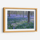 Sueños De Bluebell I - Glovanni Baptiste | Cuadro decorativo de Canvas Lab