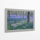 Sueños De Bluebell I - Glovanni Baptiste | Cuadro decorativo de Canvas Lab