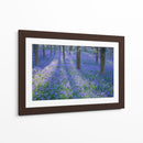 Bluebell Dreams Ii - Glovanni Baptiste | Cuadro decorativo de Canvas Lab