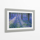 Bluebell Dreams Ii - Glovanni Baptiste | Cuadro decorativo de Canvas Lab