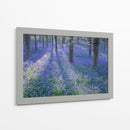 Bluebell Dreams Ii - Glovanni Baptiste | Cuadro decorativo de Canvas Lab