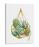 Terrario Salvaje Ii - Grace Popp | Cuadro decorativo de Canvas Lab
