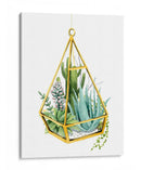 Terrario Salvaje Iii - Grace Popp | Cuadro decorativo de Canvas Lab