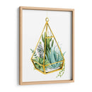 Terrario Salvaje Iii - Grace Popp | Cuadro decorativo de Canvas Lab