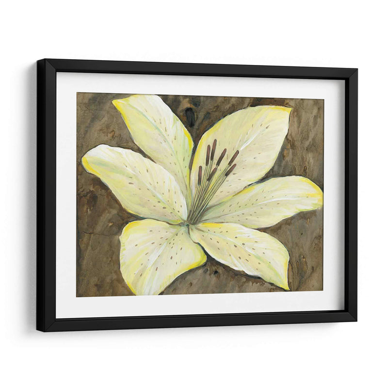 Lily Neutral Ii - Tim OToole | Cuadro decorativo de Canvas Lab