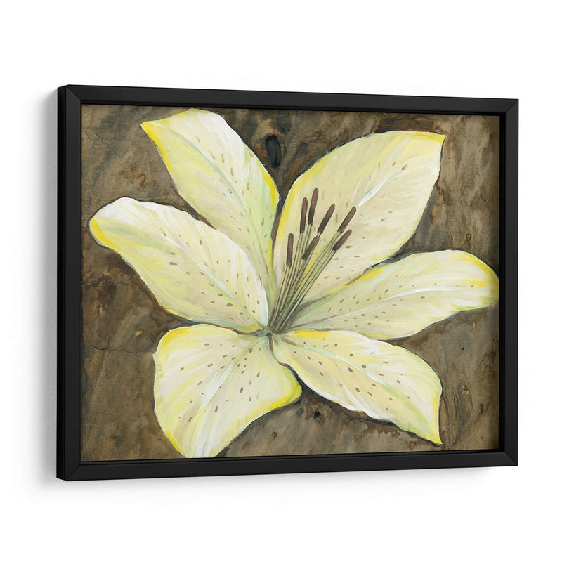 Lily Neutral Ii - Tim OToole | Cuadro decorativo de Canvas Lab