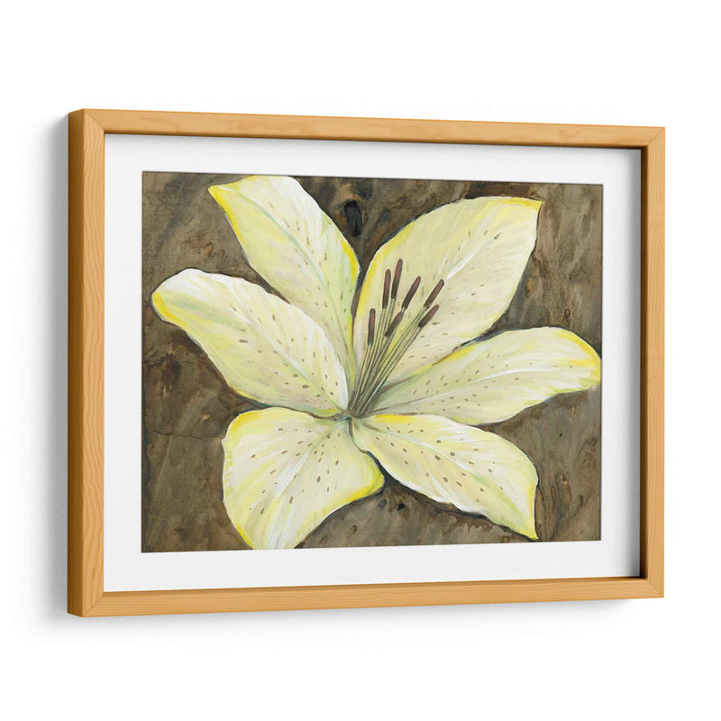 Lily Neutral Ii - Tim OToole | Cuadro decorativo de Canvas Lab