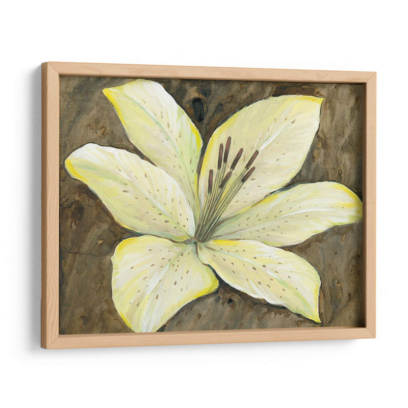 Lily Neutral Ii - Tim OToole | Cuadro decorativo de Canvas Lab