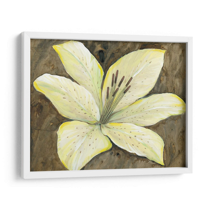 Lily Neutral Ii - Tim OToole | Cuadro decorativo de Canvas Lab