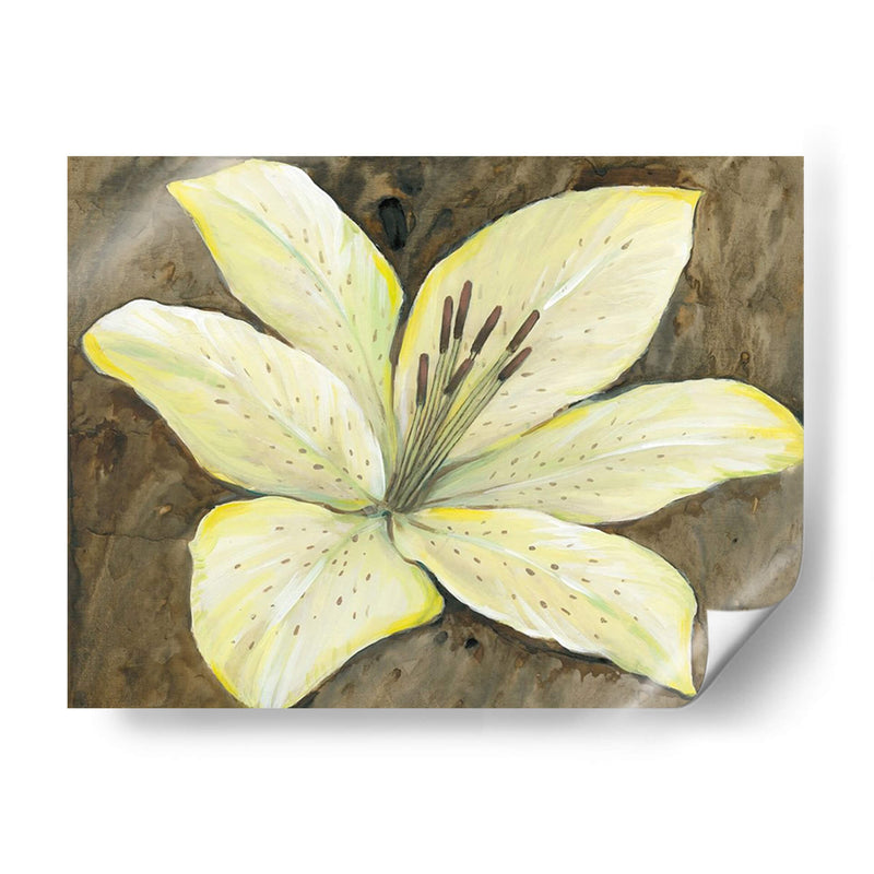 Lily Neutral Ii - Tim OToole | Cuadro decorativo de Canvas Lab