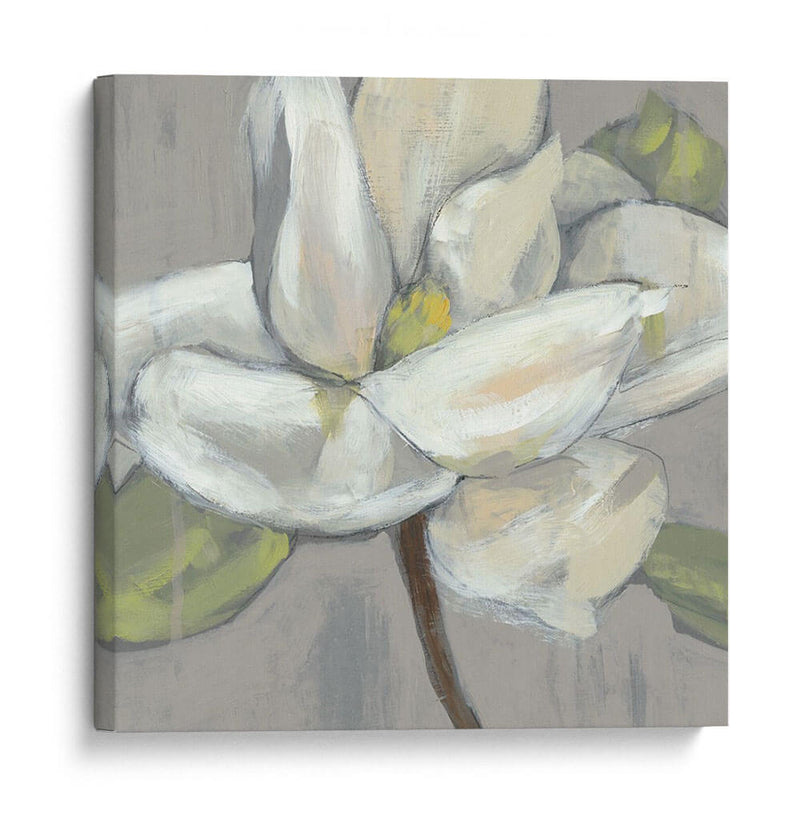 Magnolia En Gris - Jennifer Goldberger | Cuadro decorativo de Canvas Lab