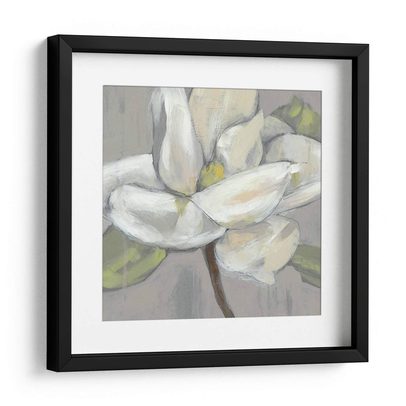 Magnolia En Gris - Jennifer Goldberger | Cuadro decorativo de Canvas Lab