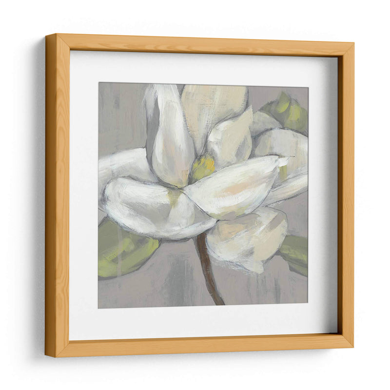 Magnolia En Gris - Jennifer Goldberger | Cuadro decorativo de Canvas Lab