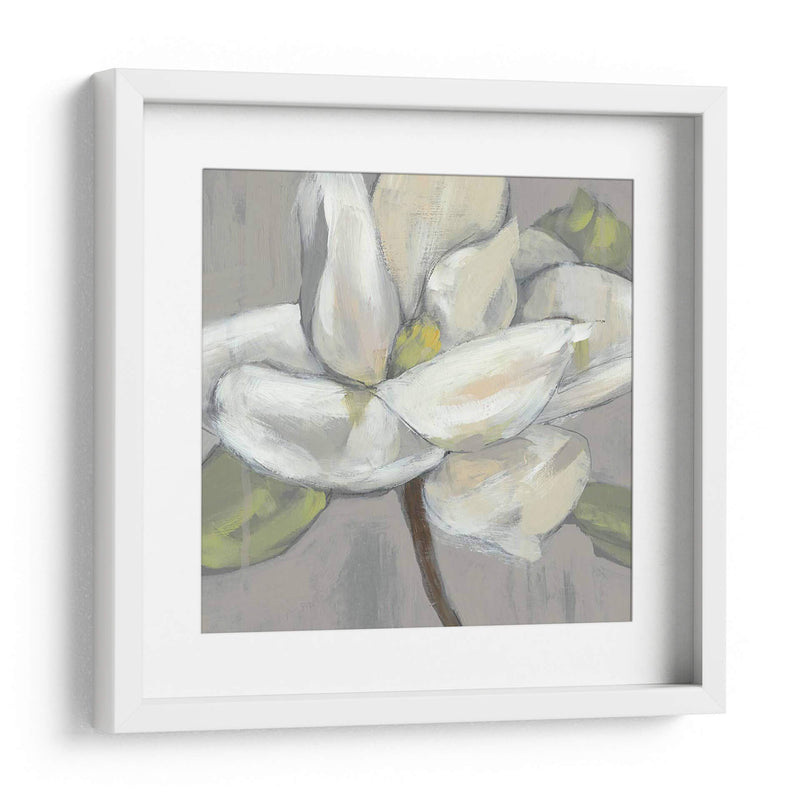 Magnolia En Gris - Jennifer Goldberger | Cuadro decorativo de Canvas Lab