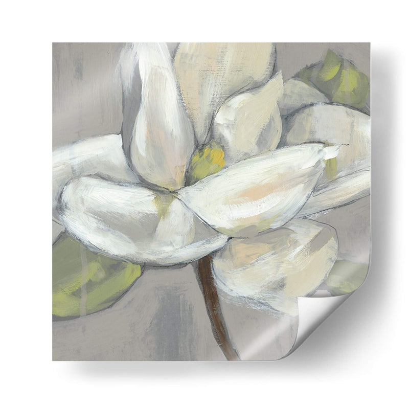 Magnolia En Gris - Jennifer Goldberger | Cuadro decorativo de Canvas Lab