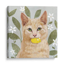 La Vida Mascota Ii - Victoria Borges | Cuadro decorativo de Canvas Lab