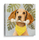 Pet Life Iii - Victoria Borges | Cuadro decorativo de Canvas Lab