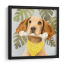 Pet Life Iii - Victoria Borges | Cuadro decorativo de Canvas Lab