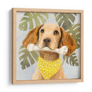Pet Life Iii - Victoria Borges | Cuadro decorativo de Canvas Lab