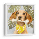 Pet Life Iii - Victoria Borges | Cuadro decorativo de Canvas Lab