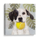 La Vida Mascota Iv - Victoria Borges | Cuadro decorativo de Canvas Lab