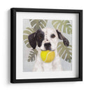 La Vida Mascota Iv - Victoria Borges | Cuadro decorativo de Canvas Lab