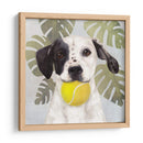 La Vida Mascota Iv - Victoria Borges | Cuadro decorativo de Canvas Lab