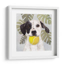 La Vida Mascota Iv - Victoria Borges | Cuadro decorativo de Canvas Lab