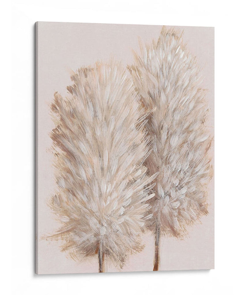 Pampas Grass Iii - Tim OToole | Cuadro decorativo de Canvas Lab