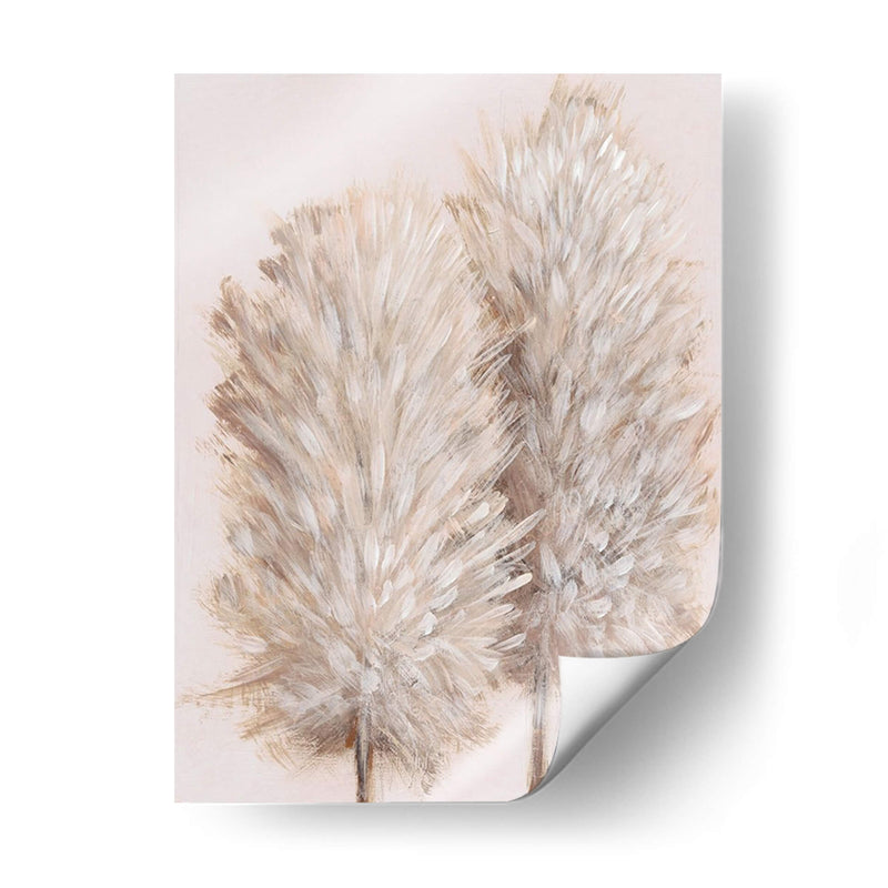 Pampas Grass Iii - Tim OToole | Cuadro decorativo de Canvas Lab