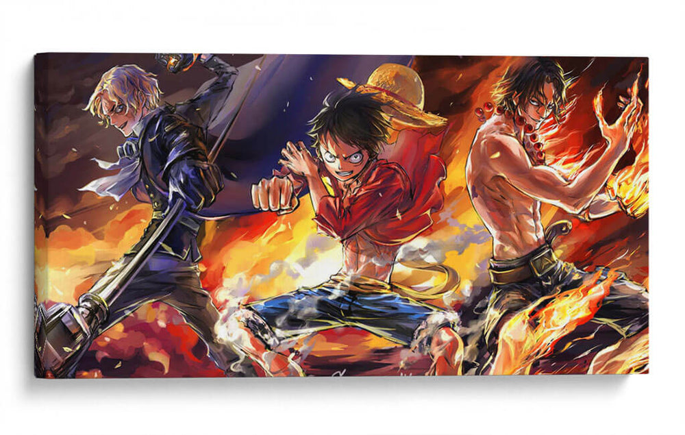 One Piece watercolor | Cuadro decorativo de Canvas Lab