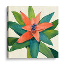 Tropical Iii - Megan Meagher | Cuadro decorativo de Canvas Lab